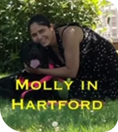 Molly in Hartford