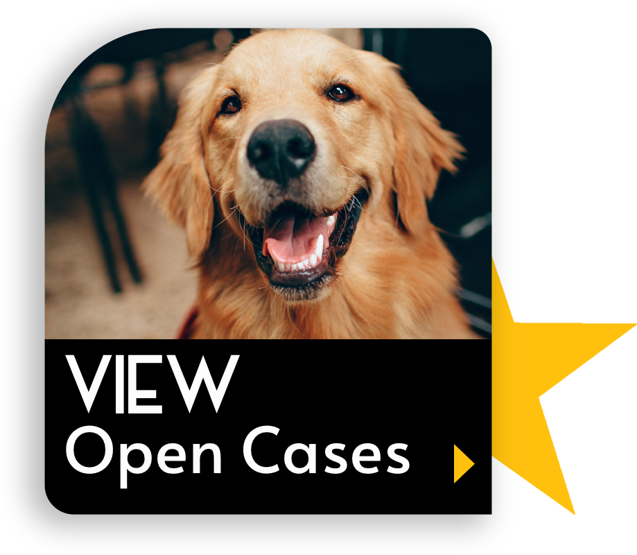 VIEW Open Cases