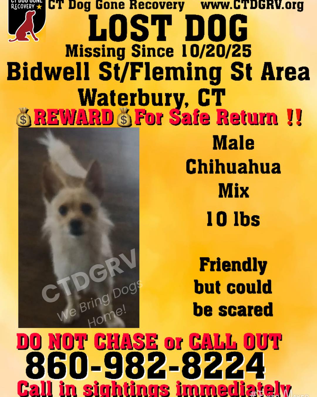 565137774_1169292811967045_4123068512615106767_n