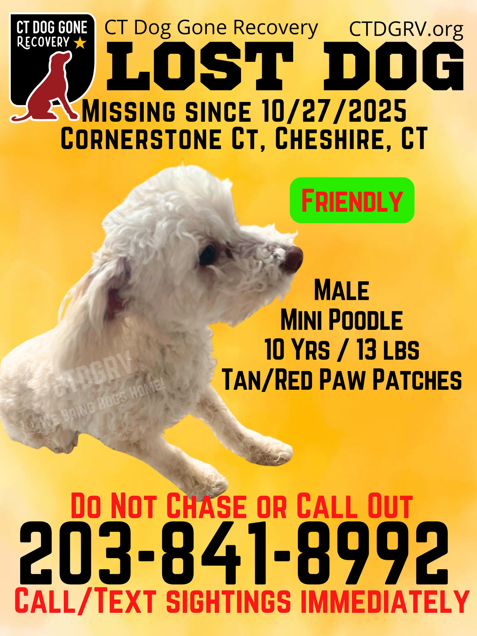 573315452_1177670804462579_5124912740288039097_n