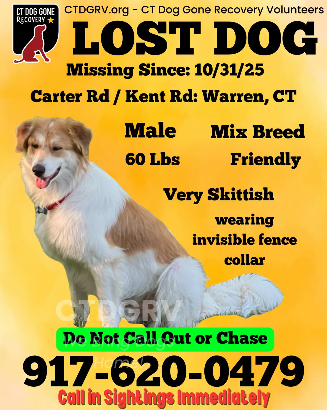 573056035_1179210750975251_190876064567140645_n