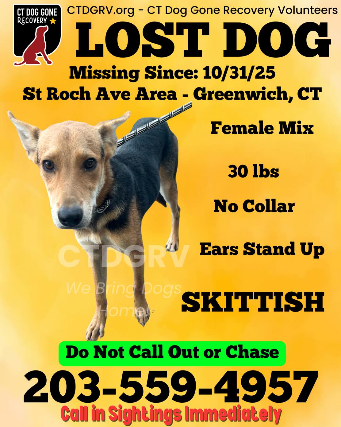 573091663_1179246024305057_7099599607492207048_n