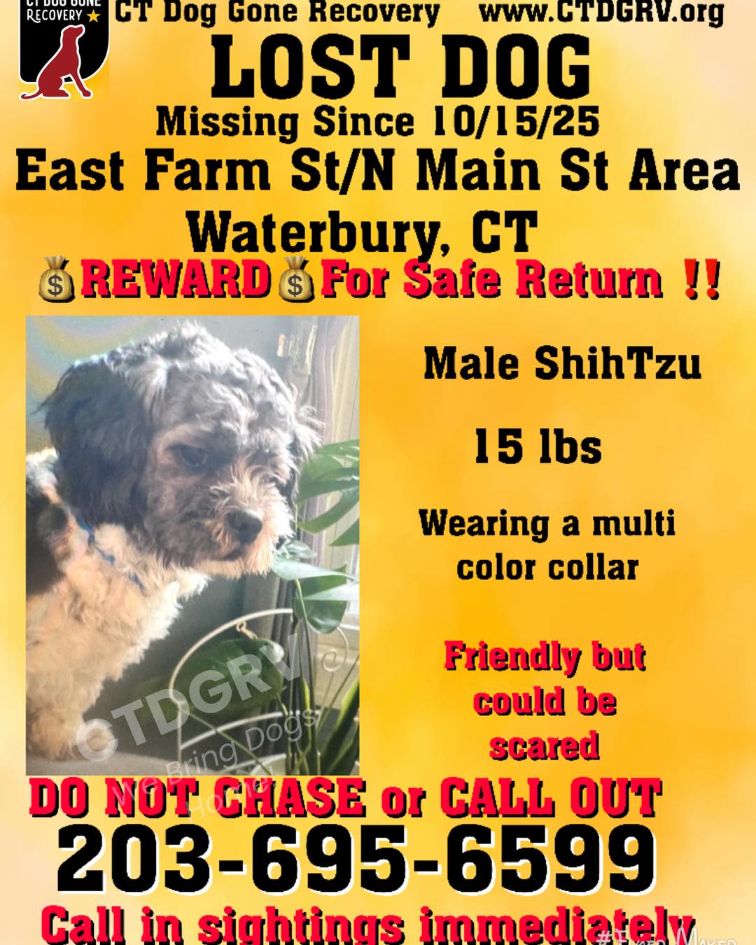 577507352_1182624743967185_6886188880959041407_n