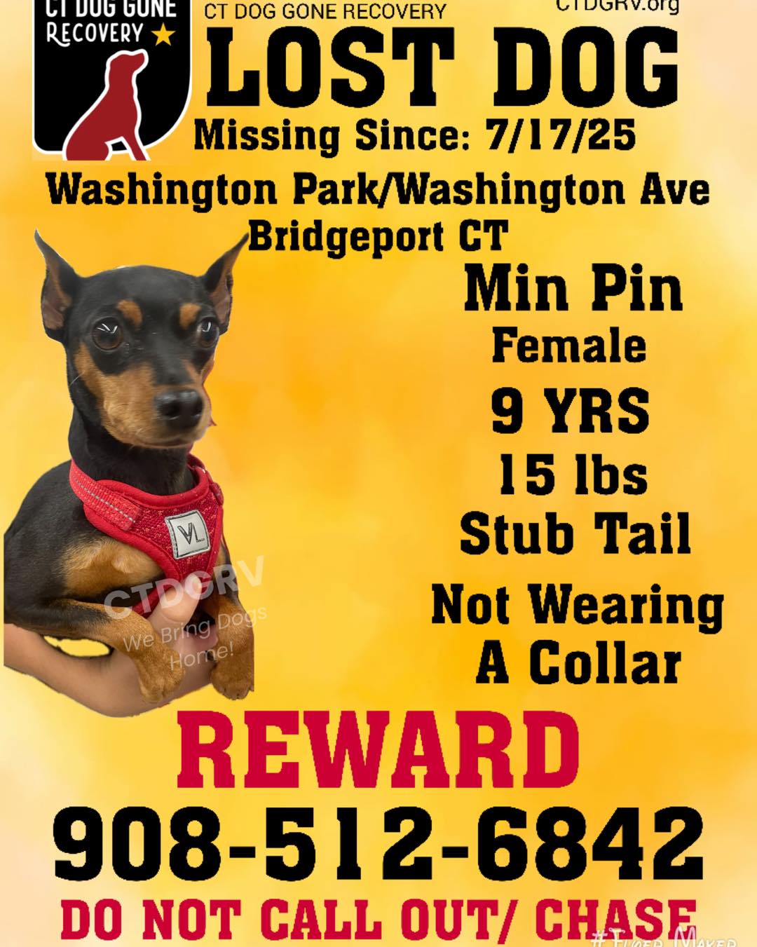 584482553_1191458123083847_6676302786362046974_n