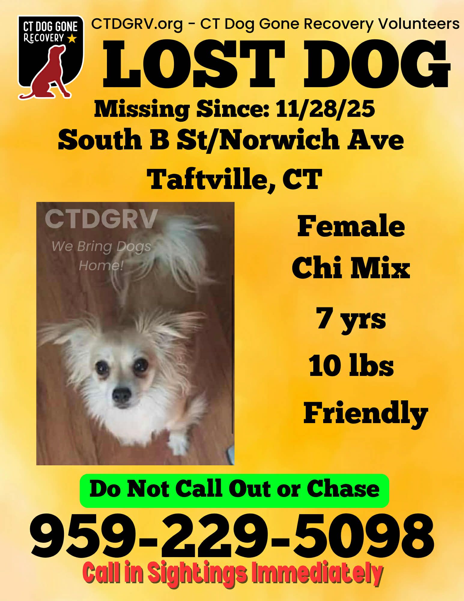 586625977_1200479078848418_5100084012226606103_n