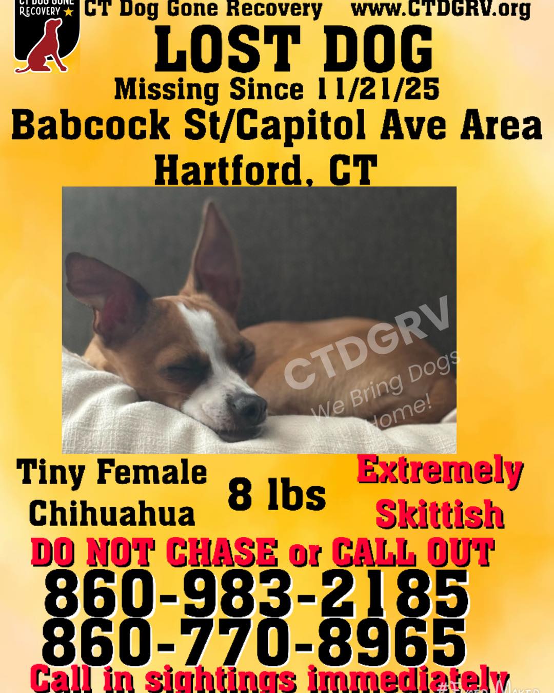 587342481_1195815365981456_3172536581981706777_n