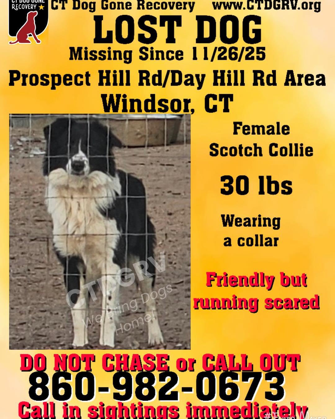 592453248_1201142135448779_4817897065188212741_n