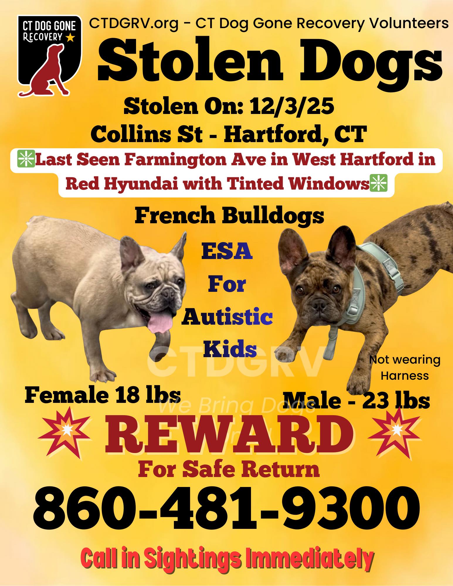 593869787_1204611878435138_6560498026177503167_n