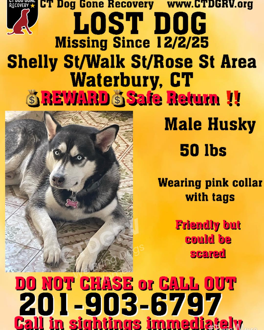 594545451_1203158271913832_8751631650426249432_n