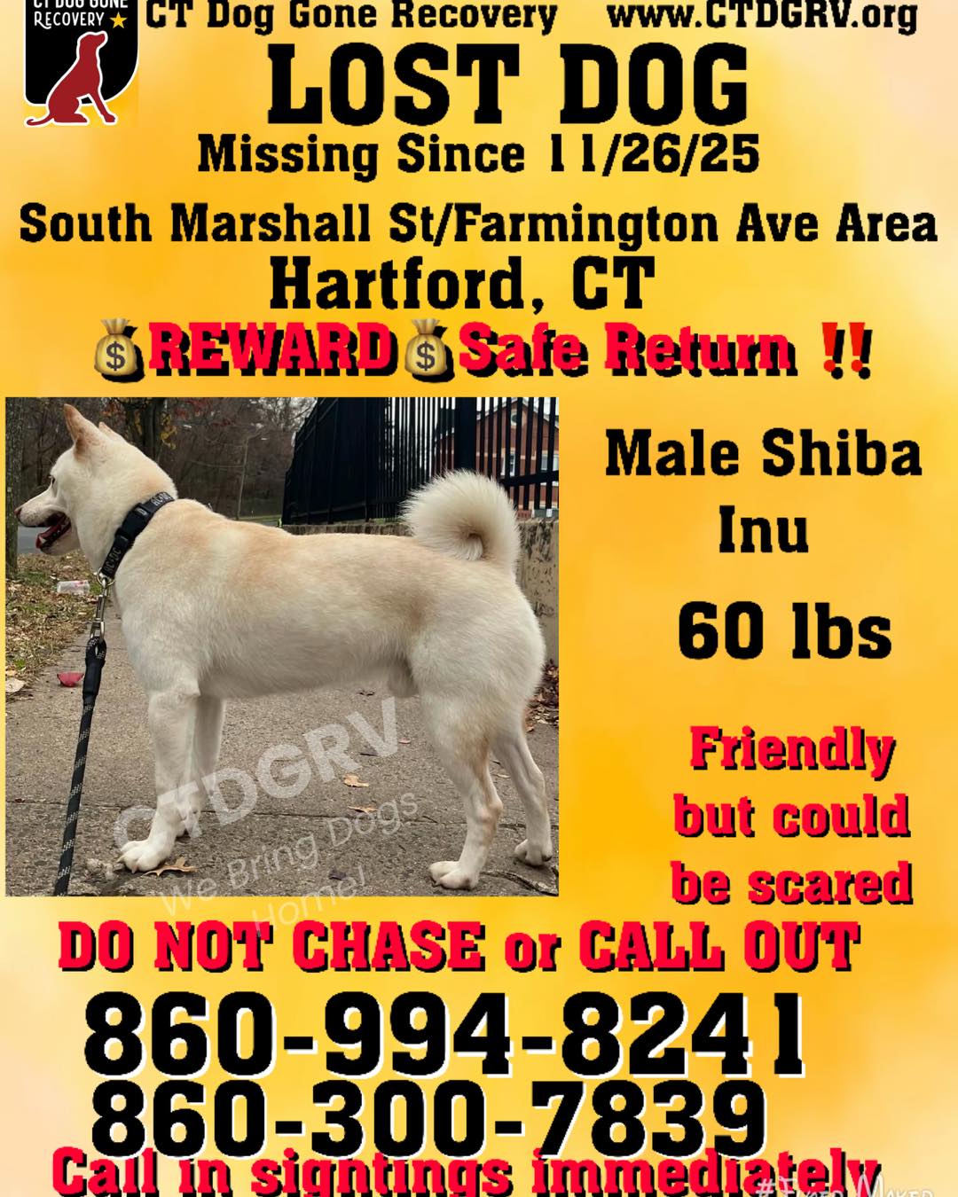 594962225_1203296938566632_4645884957671080856_n