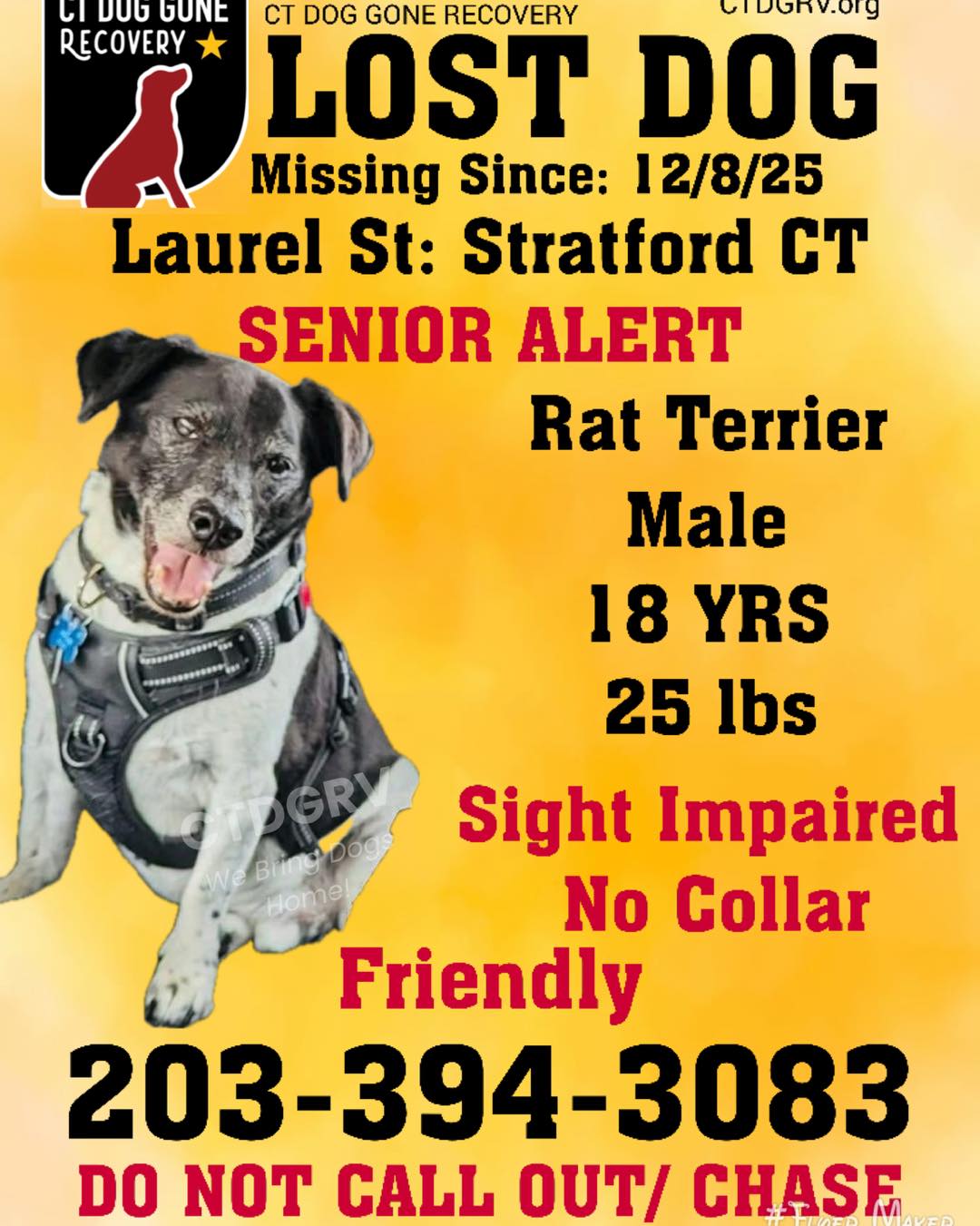 595288852_1208151944747798_9077020452416910660_n