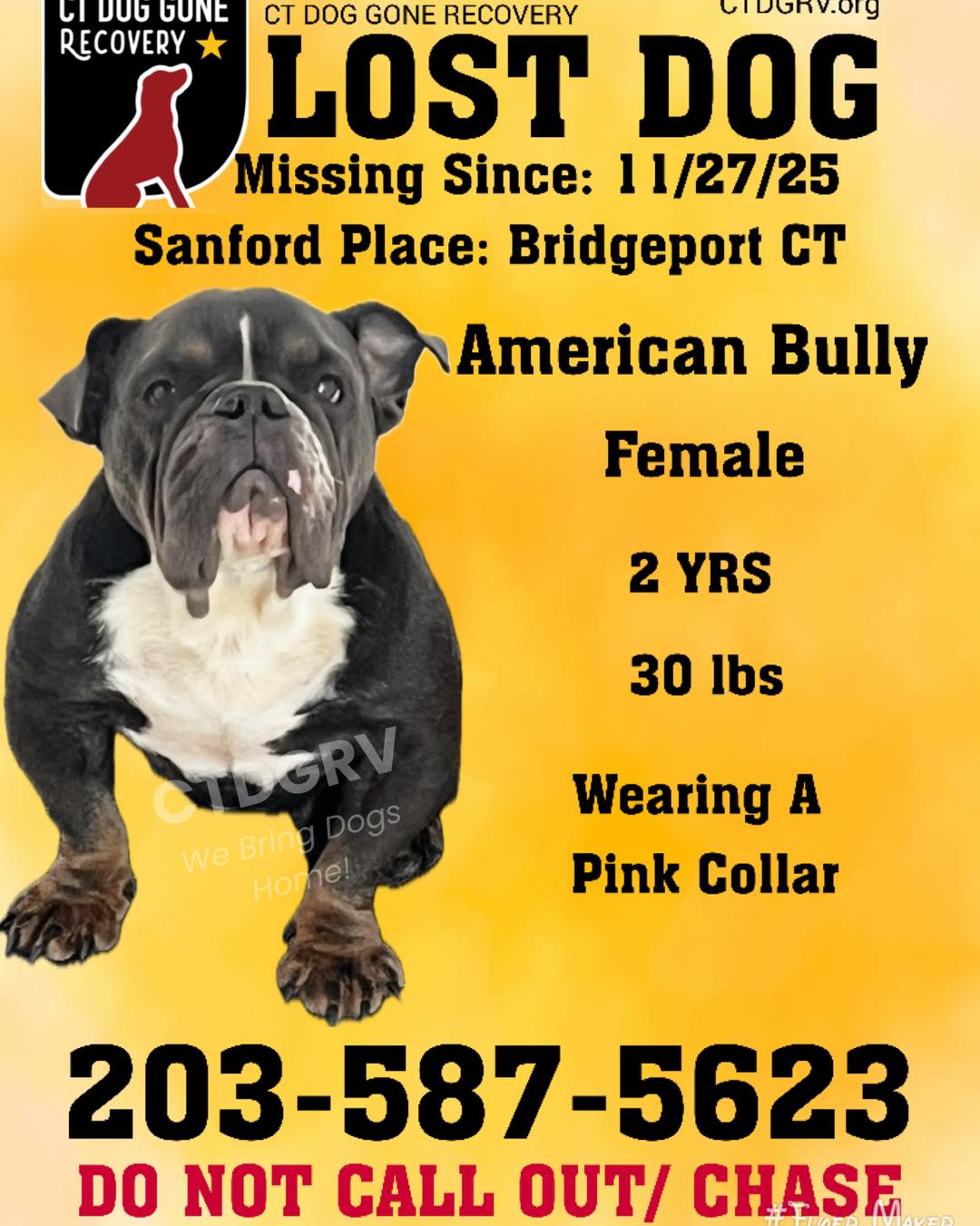 595414247_1207565364806456_4169184165506947254_n