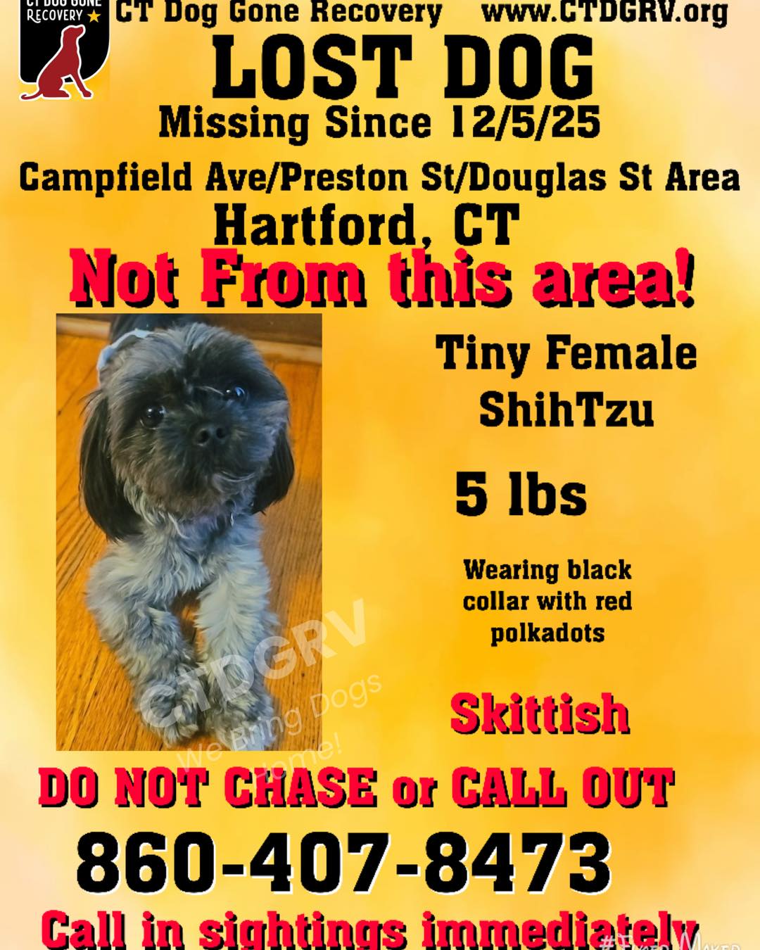 596325325_1206019824961010_5234646615661260156_n