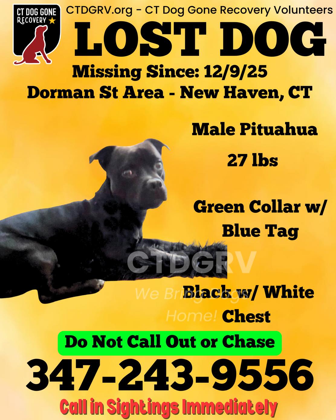 597464161_1208312858065040_633296732346234688_n