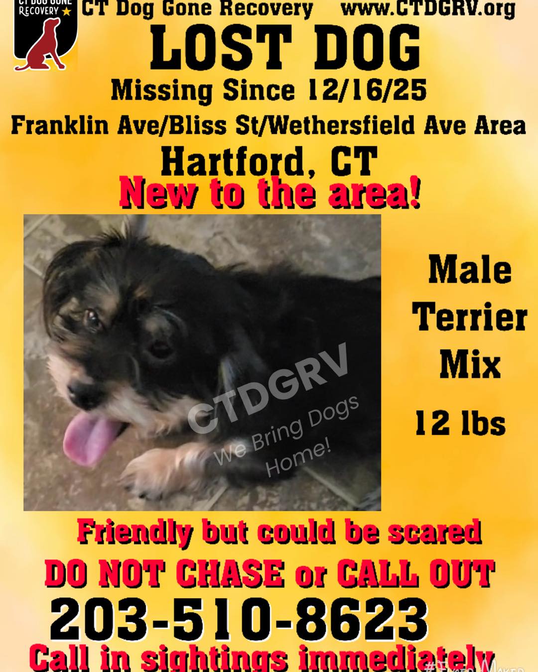 598564771_1213405494222443_449124515411893770_n