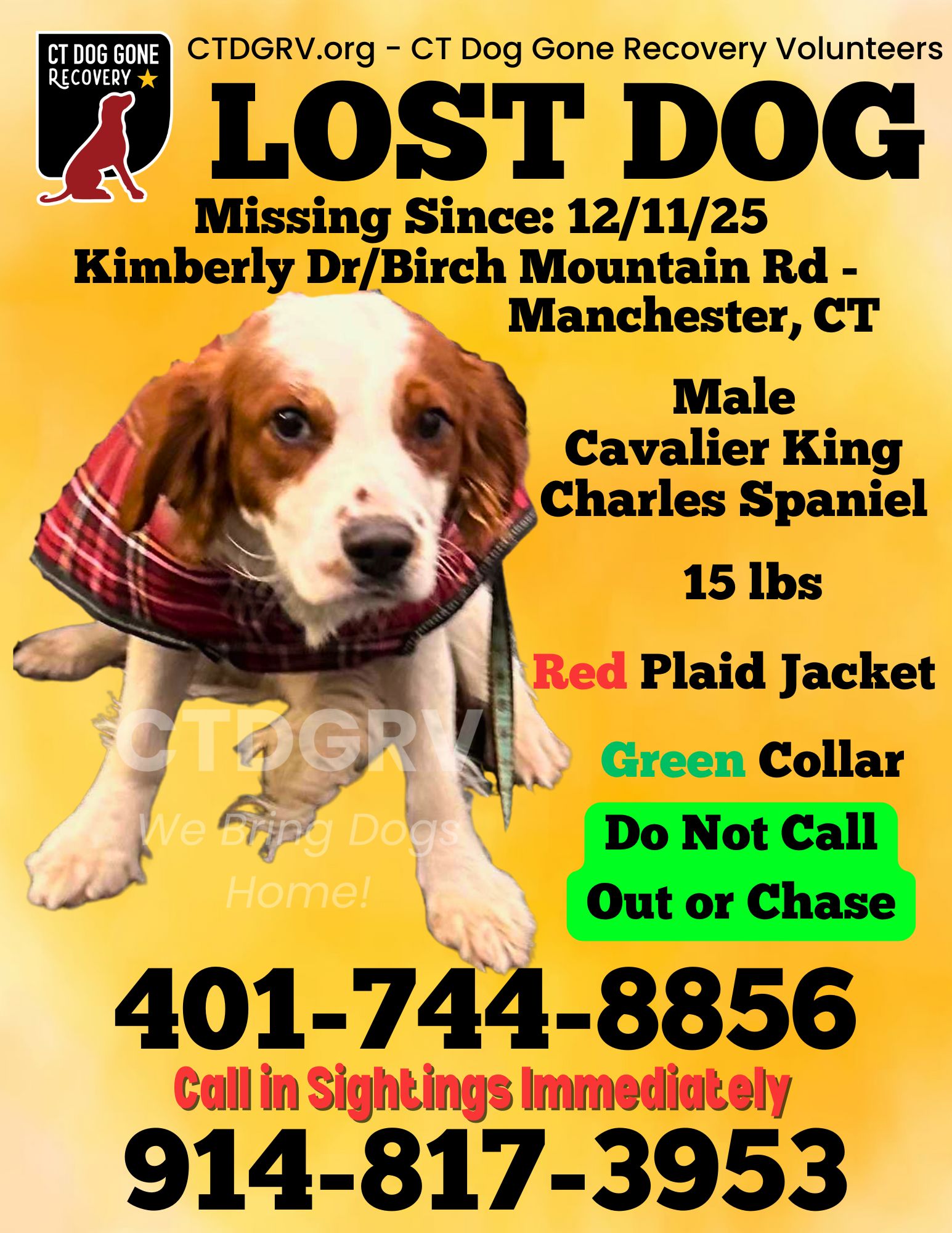 601360942_1214108314152161_8556911586626478531_n