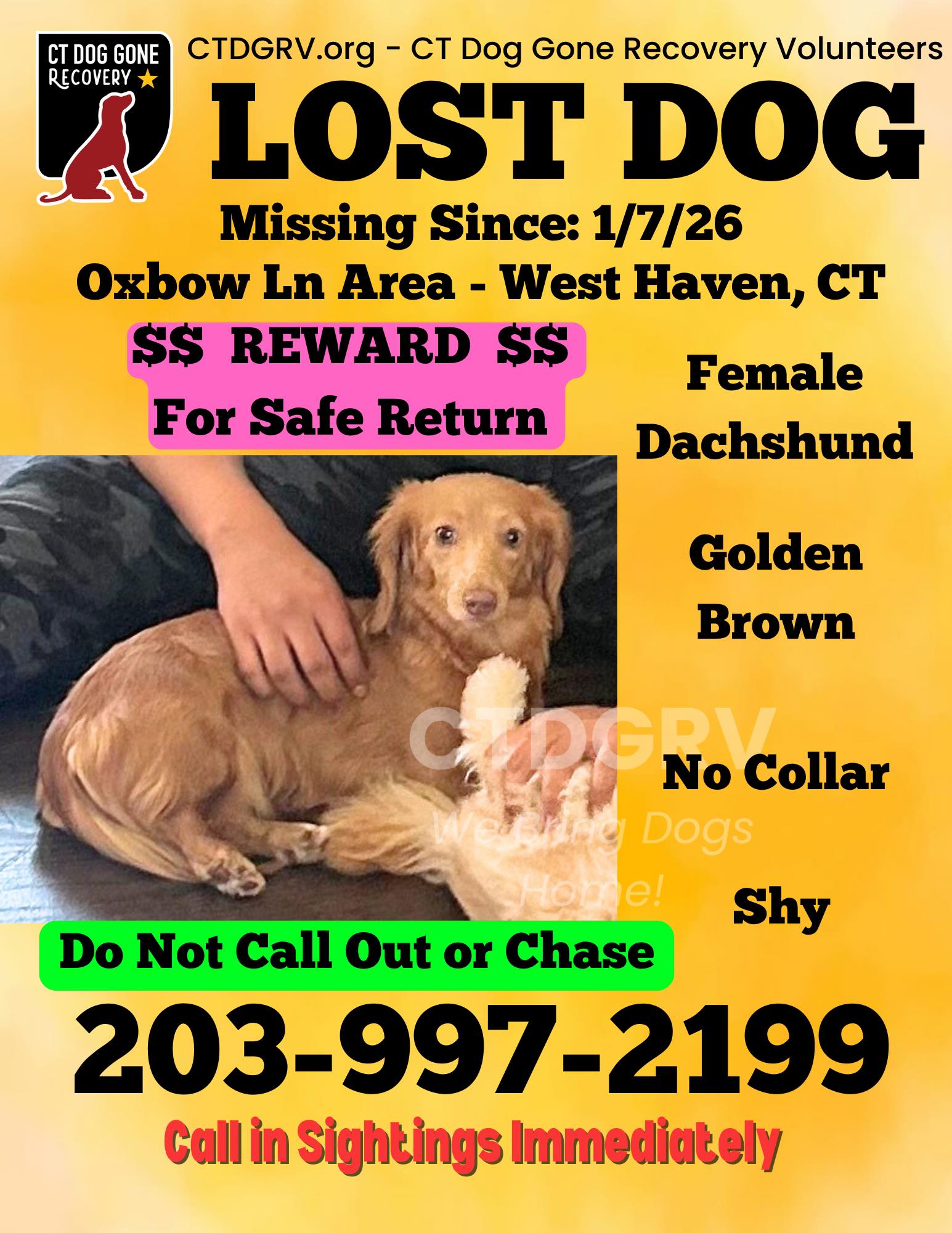 611699868_1229937595902566_3720739471862969074_n