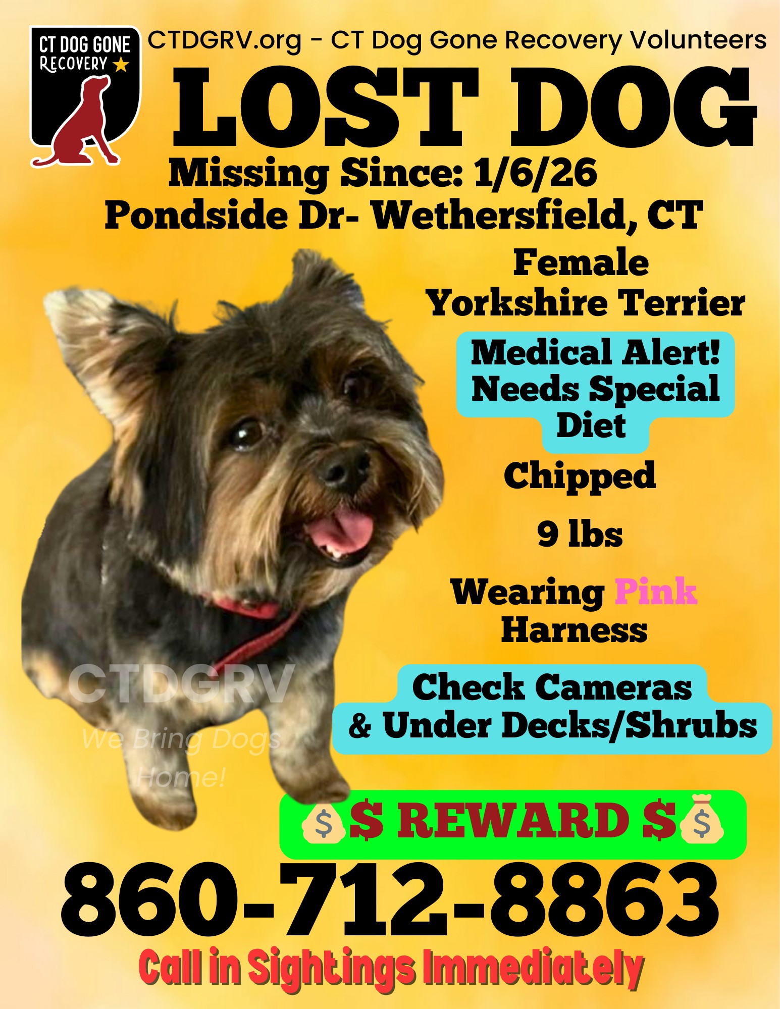 613306919_1229815529248106_5431406476330736352_n