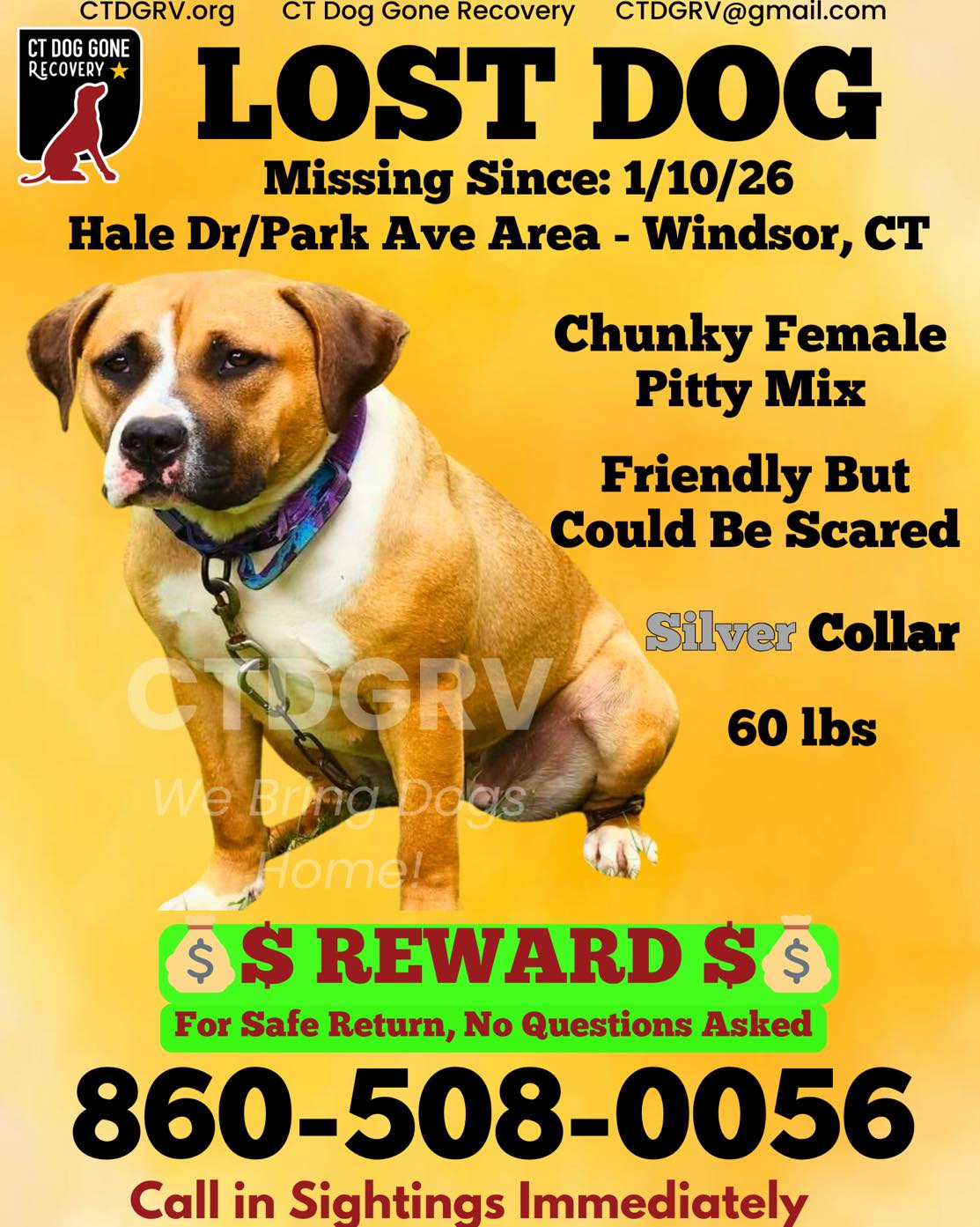 616324117_1233276508902008_627940061264089564_n