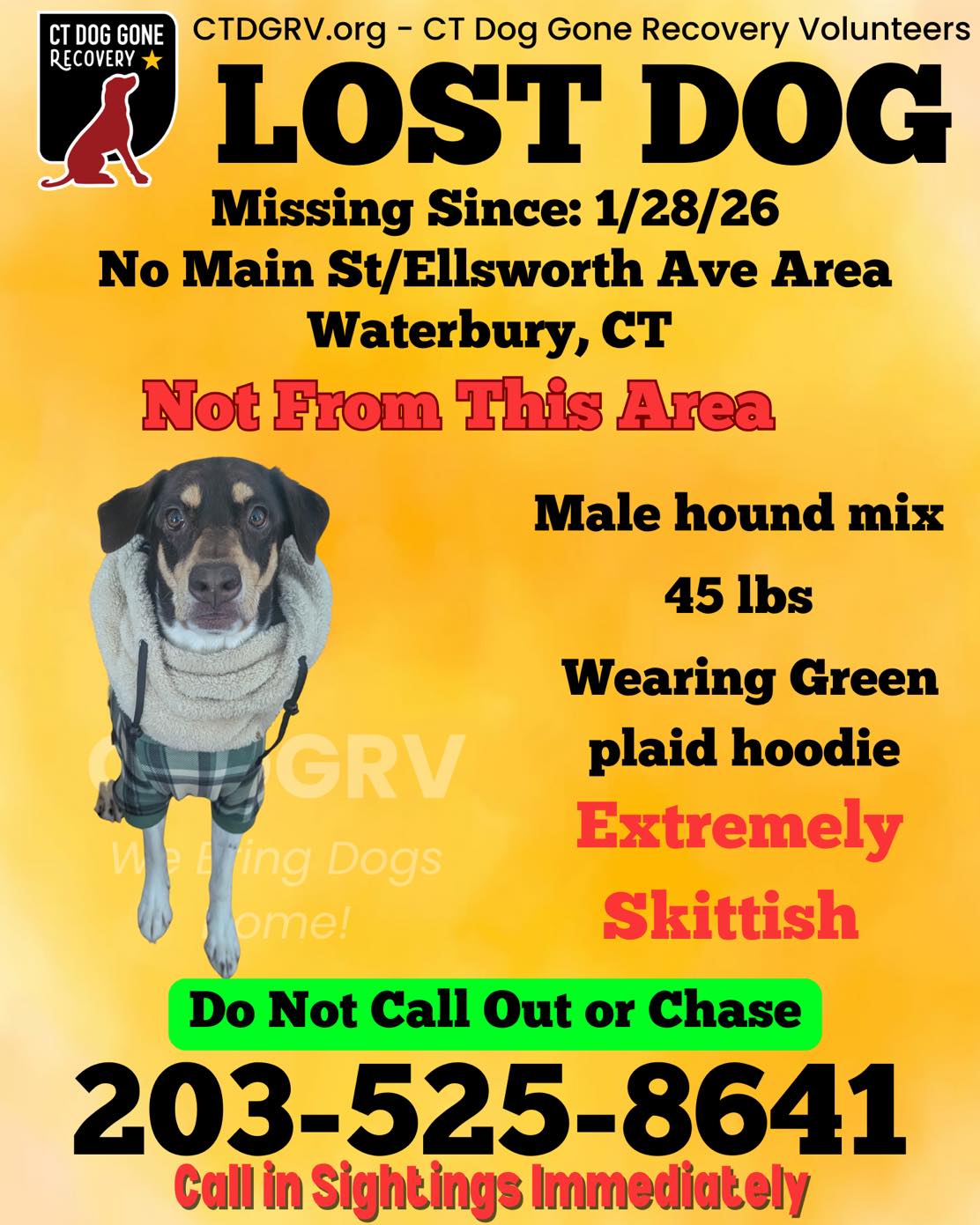 623518948_1245245314371794_130660225821615098_n