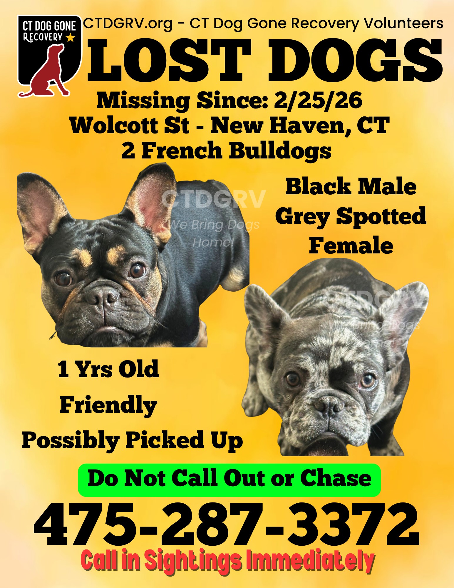 642789611_1269041935325465_700611249454160685_n