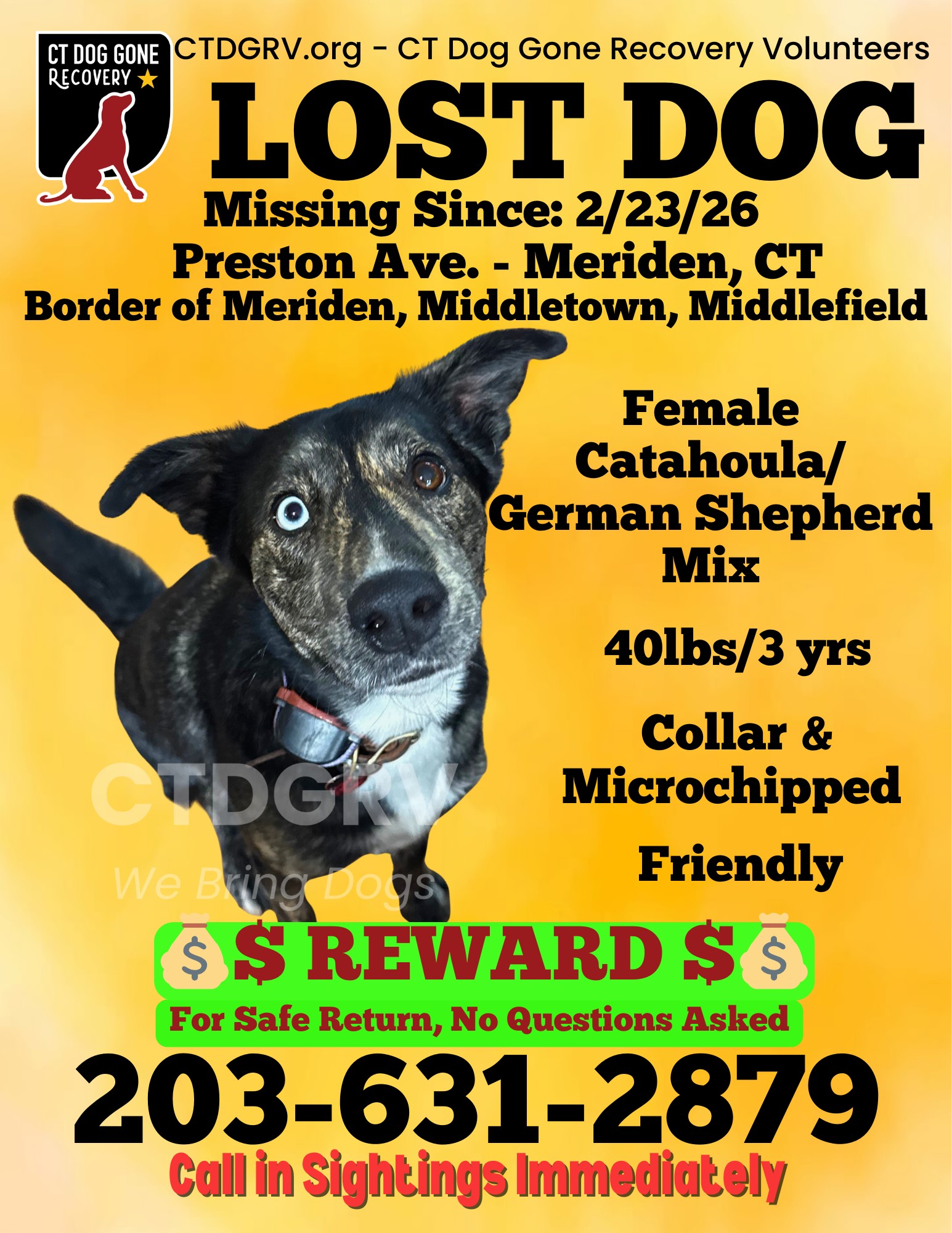 643309847_1268222822074043_7554798799748579381_n