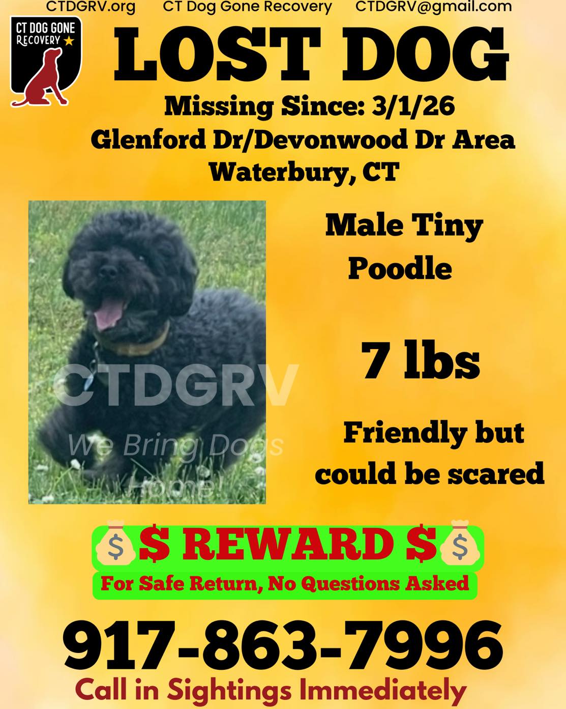 645211902_1272908558272136_4490838286900585607_n