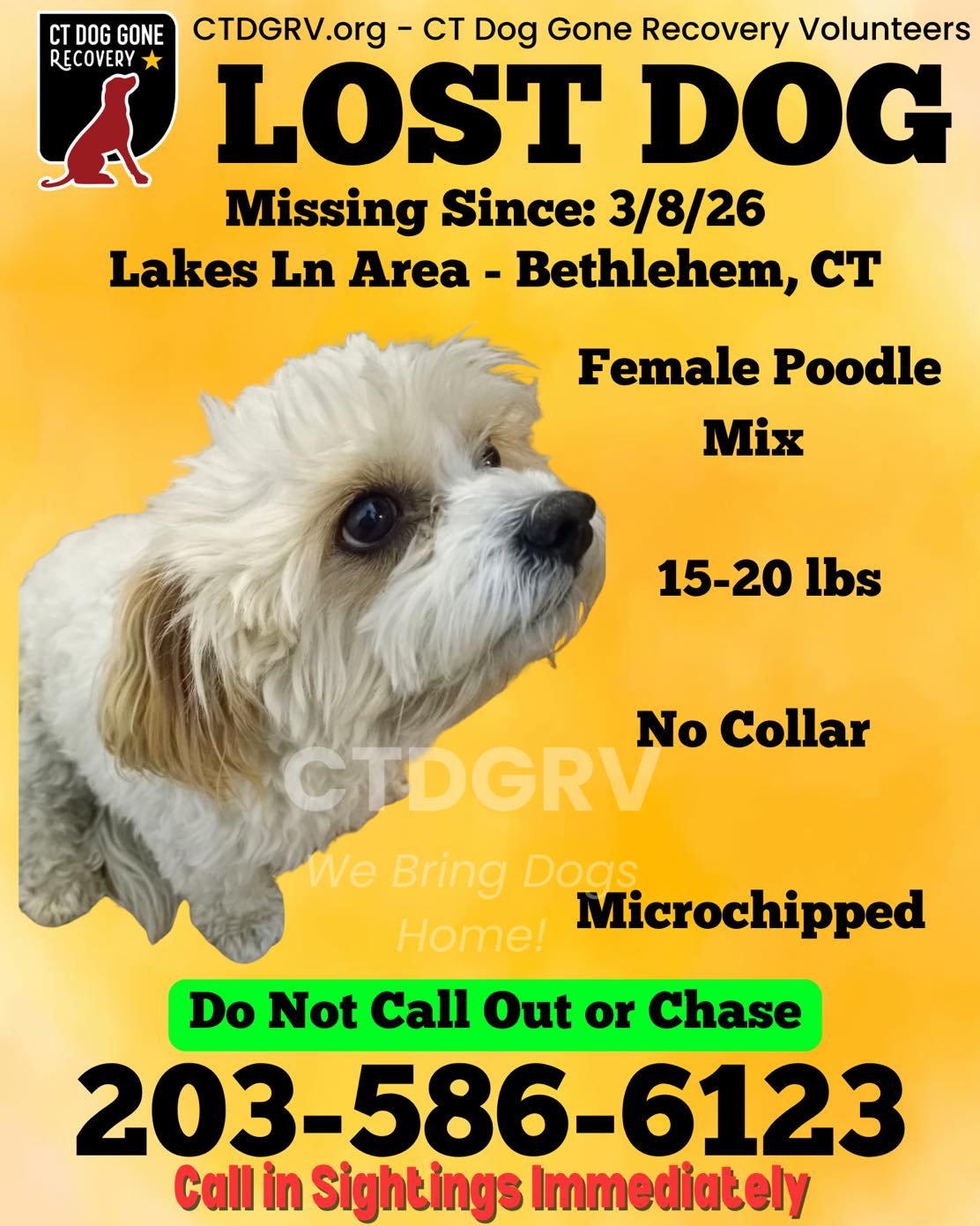 648807575_1277888237774168_7688273356988613181_n