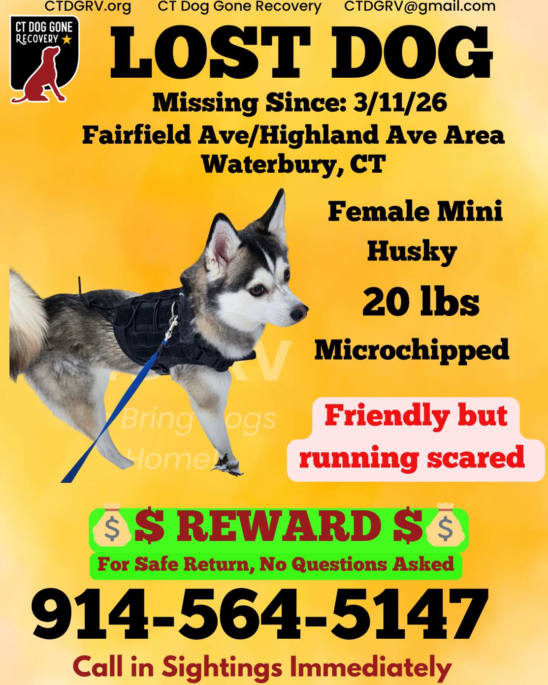 650393477_1279616460934679_8326368503338889913_n