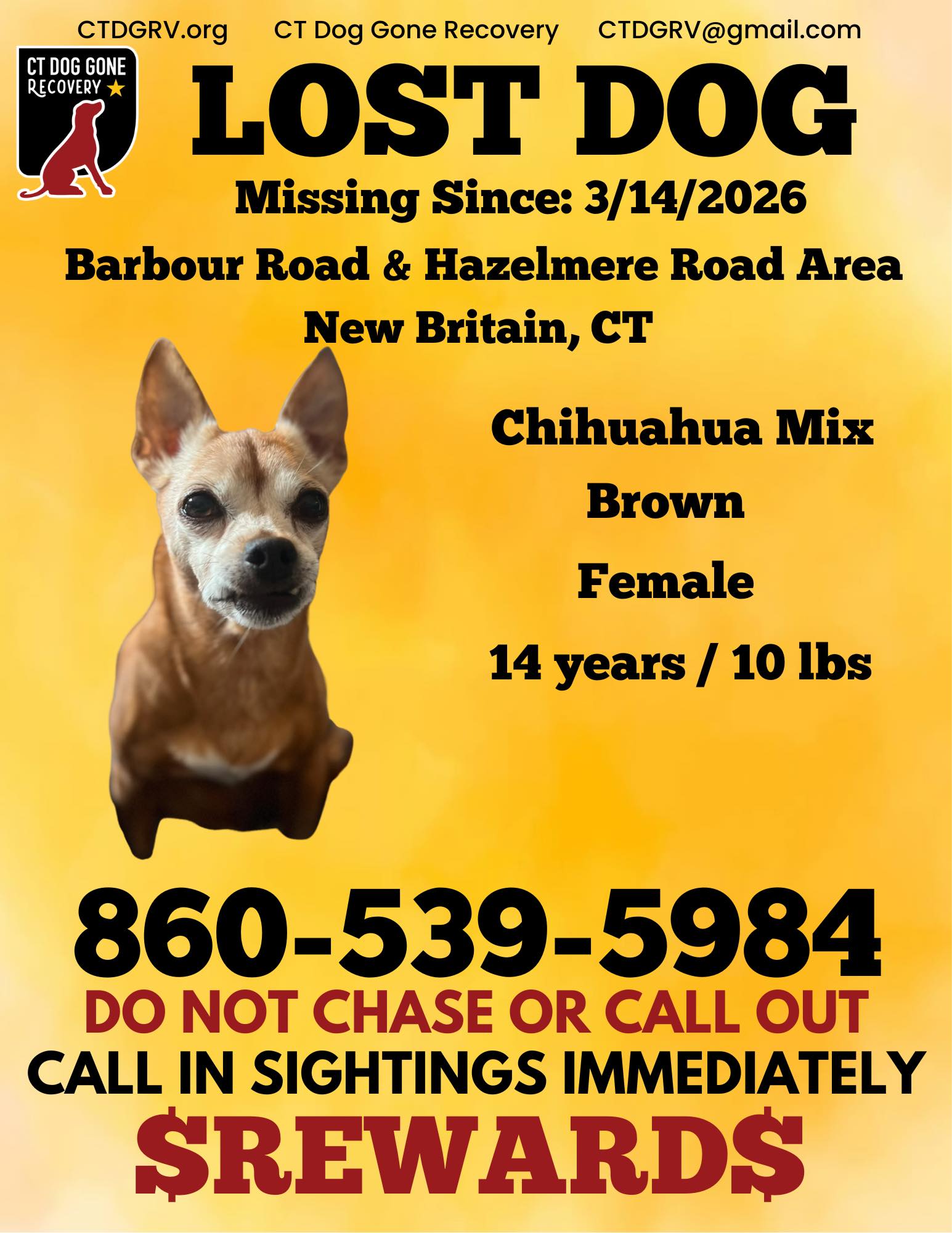 652488375_1282656230630702_8422543538668831720_n