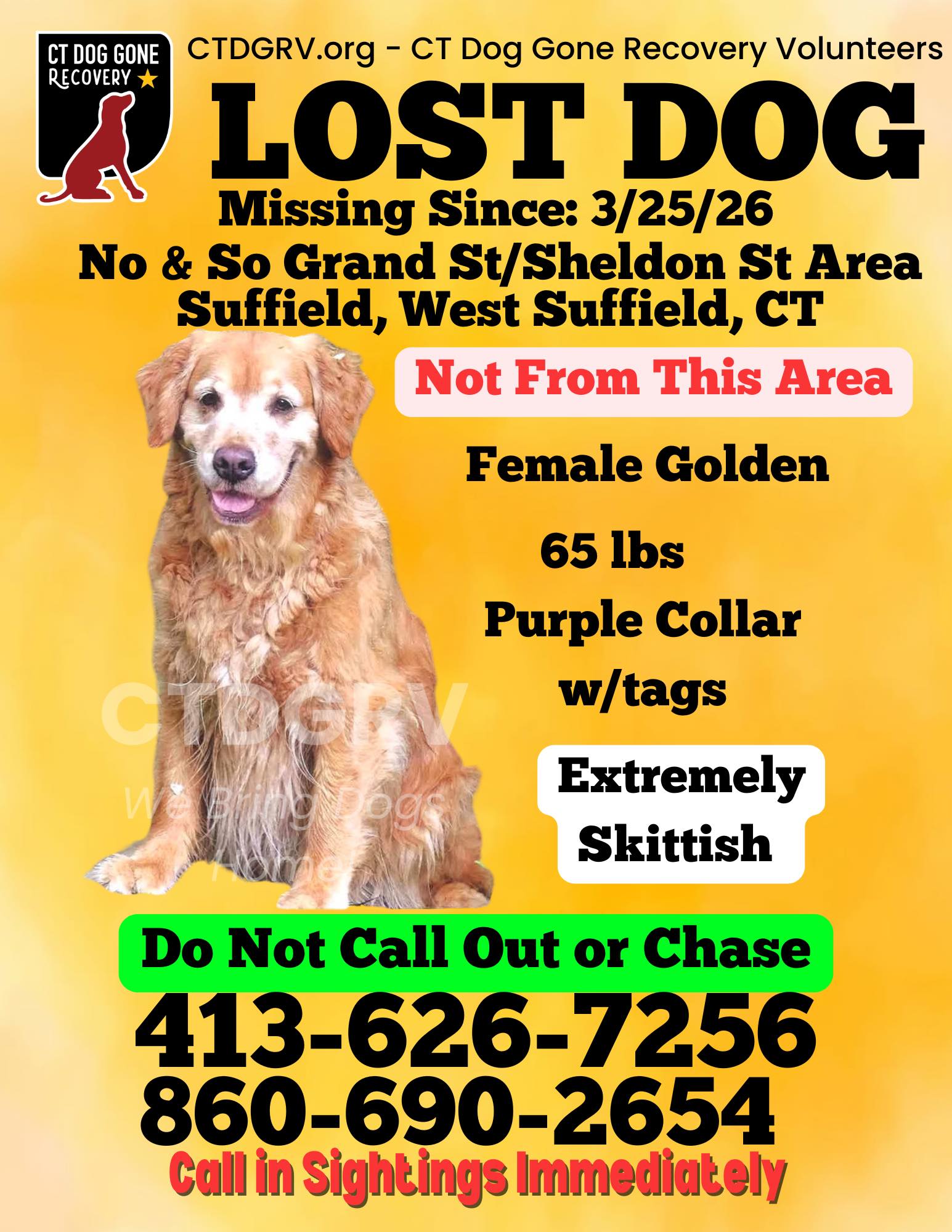 661030063_1298136325749359_3576570254251847024_n