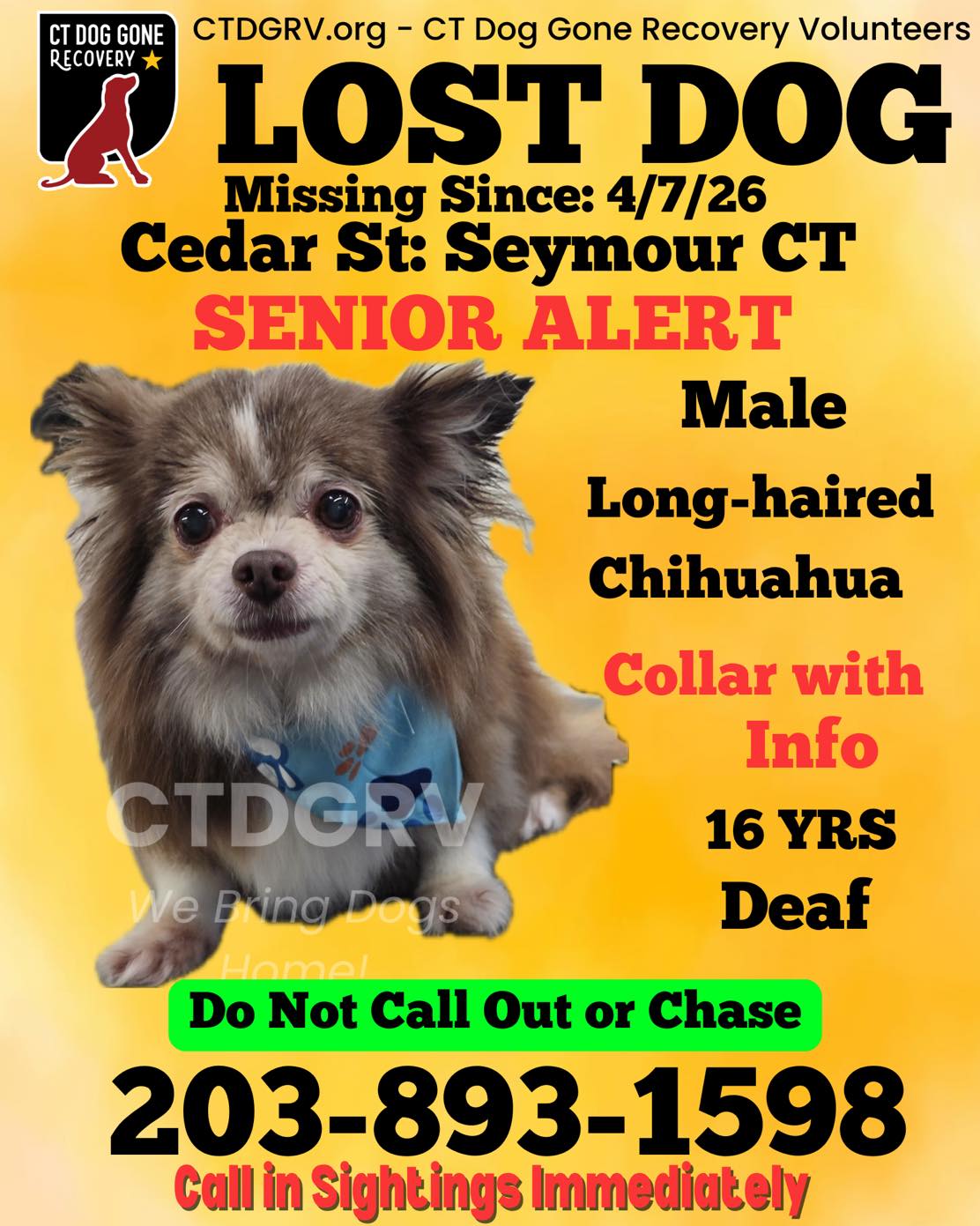 666031706_1301161775446814_7038822880182152502_n