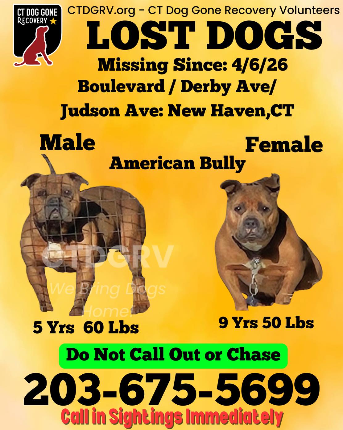 668894191_1301830188713306_2517991685275525083_n