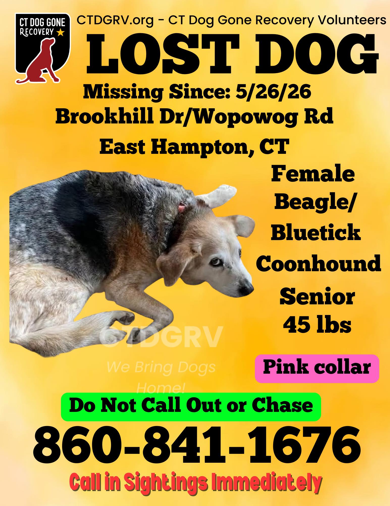 707499233_1341970851365906_2364595392218027147_n